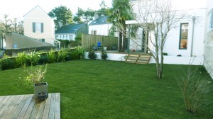 gazon en rouleau rustique