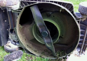 comment tondre son gazon