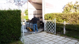 gazon en rouleau rennes