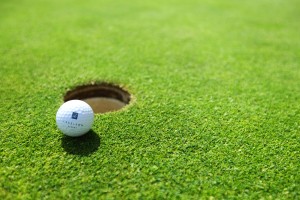 gazon pour green de golf