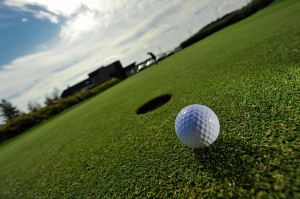 green de golf en rouleau