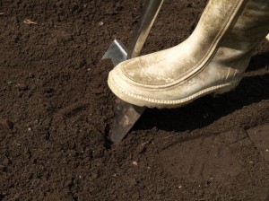 la qualité de la terre végétale