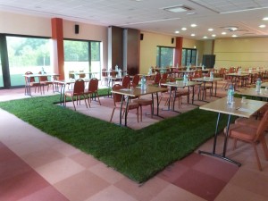 gazon en rouleau angers